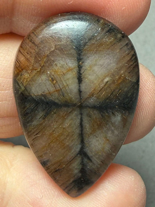 Teardrop 31x21mm Chiastolite Cabochon 22