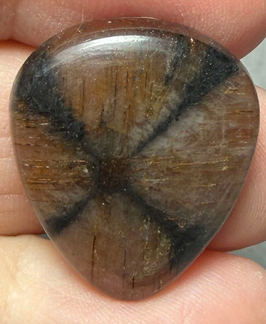 Teardrop 24x21mm Chiastolite Cabochon 25