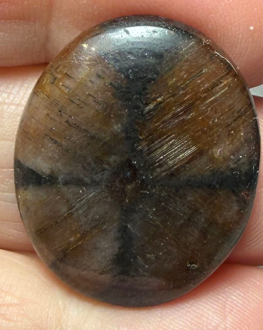 Oval 27x22mm Chiastolite Cabochon 26