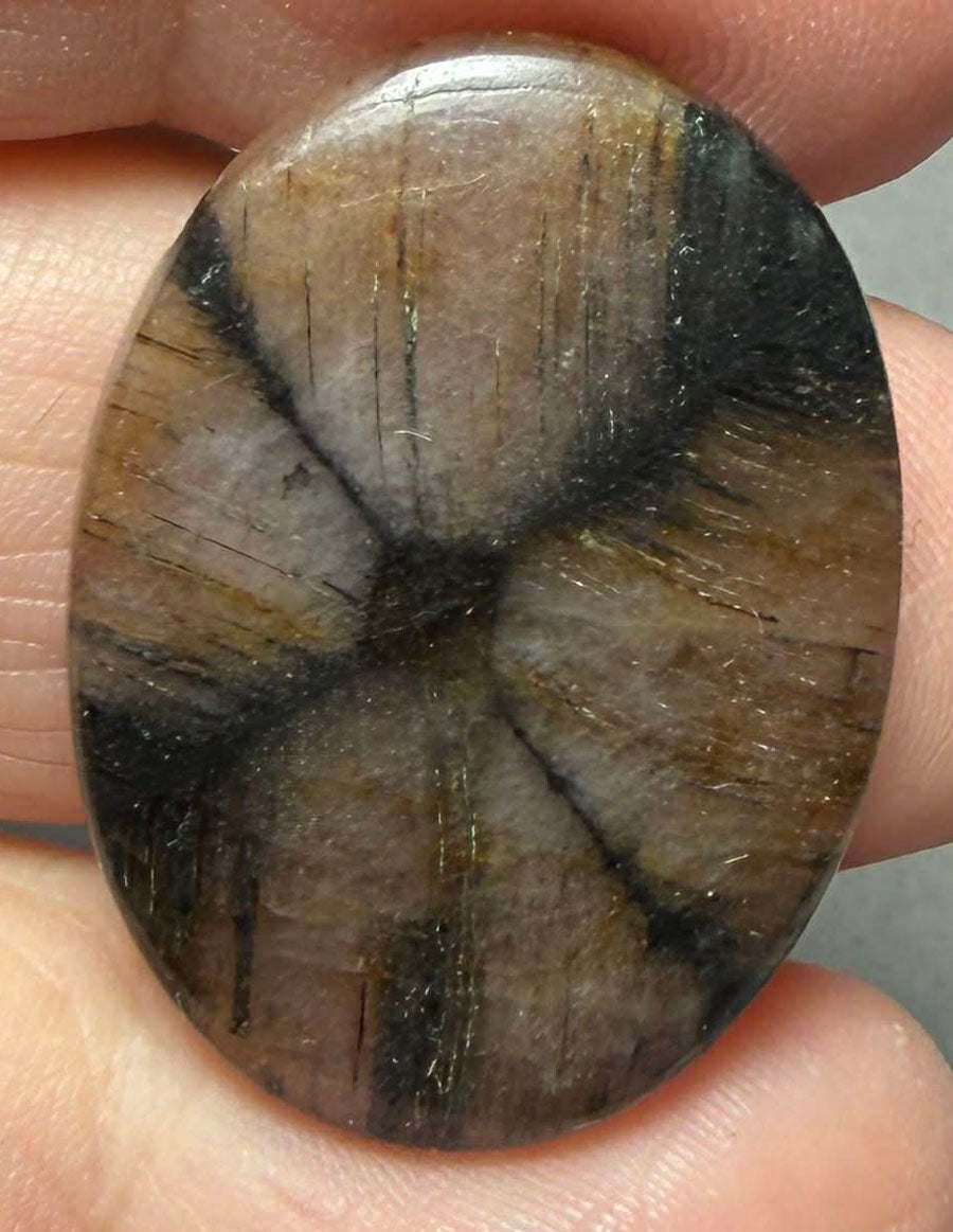 Oval 29x22mm Chiastolite Cabochon 27