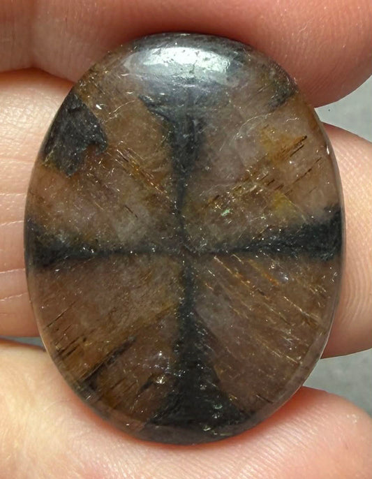 Oval 26x20mm Chiastolite Cabochon 28