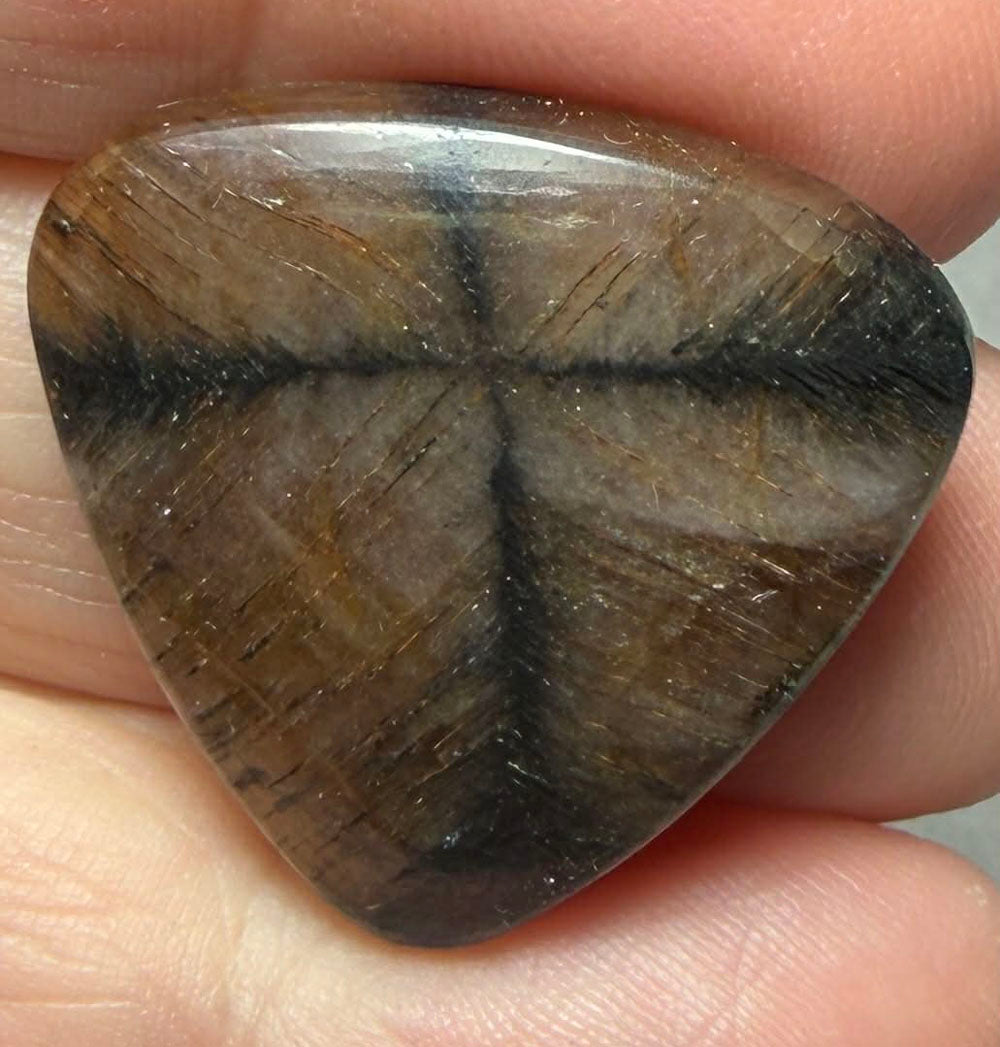 Teardrop 25x27mm Chiastolite Cabochon 30
