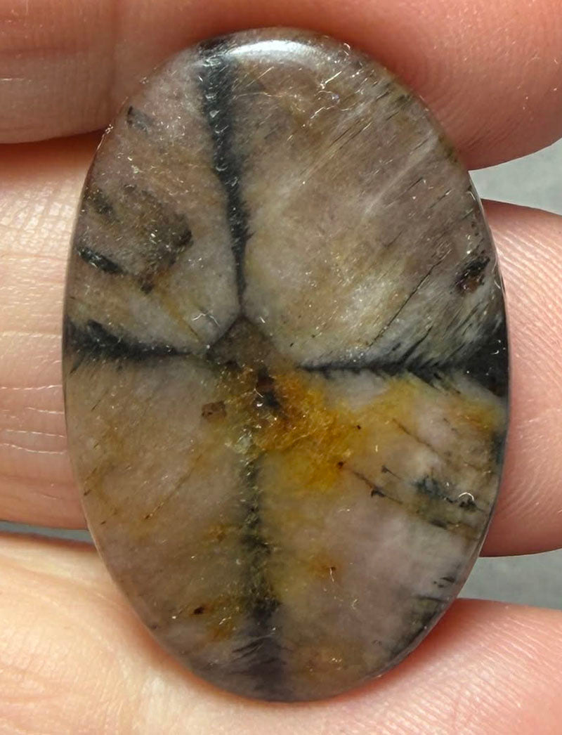 Oval 31x20mm Chiastolite Cabochon 32