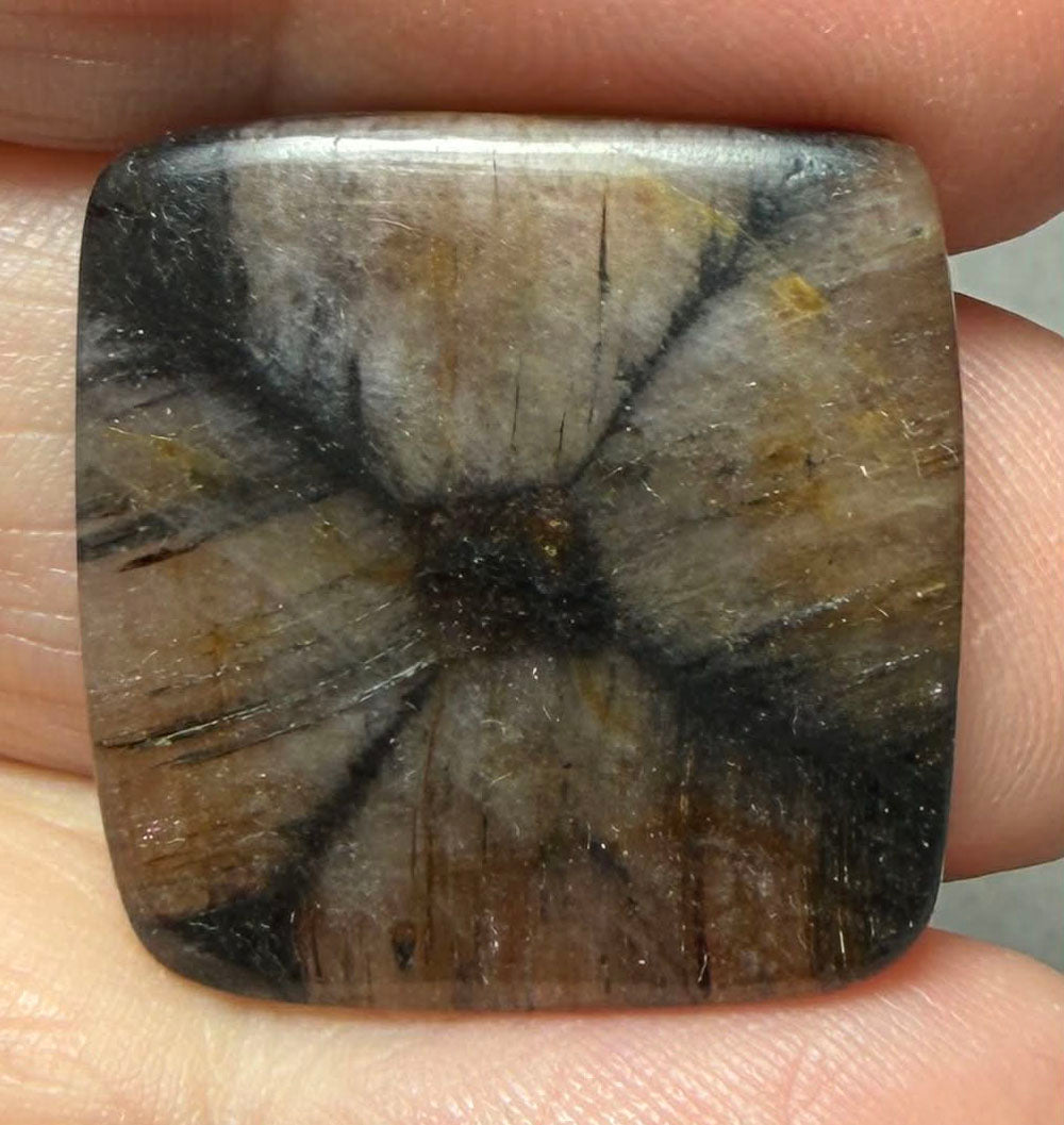 Square 23x23mm Chiastolite Cabochon 33