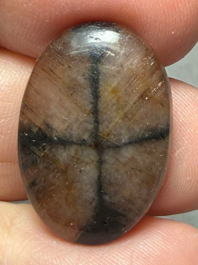 Oval 25x17mm Chiastolite Cabochon 36