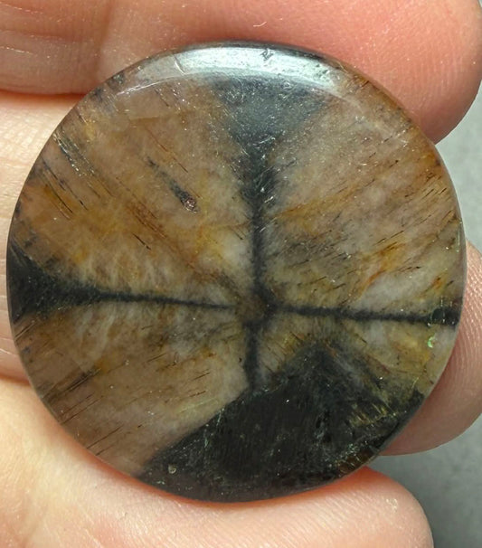 Round 28x28mm Chiastolite Cabochon 37