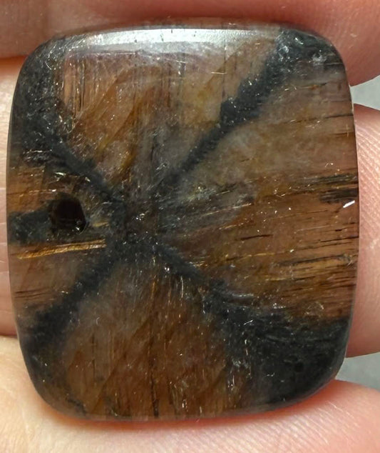 Rectangle 24x21mm Chiastolite Cabochon 38