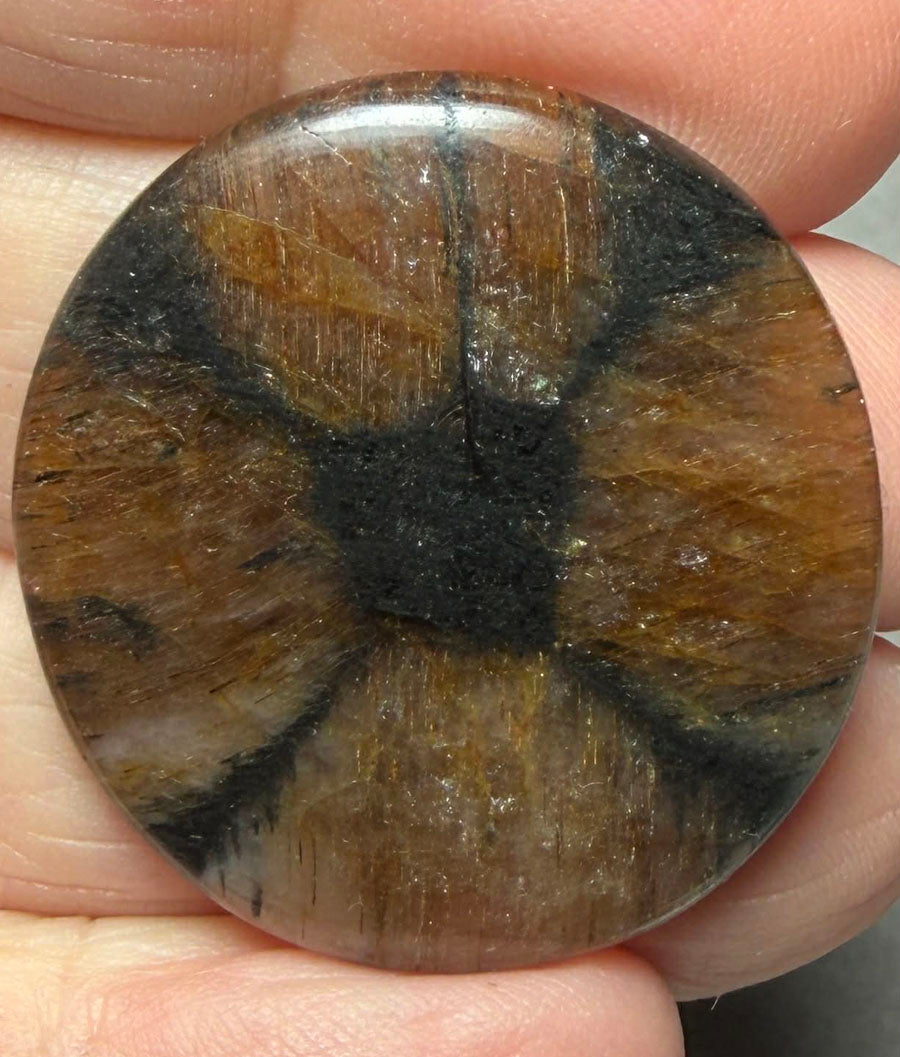 Oval 32x30mm Chiastolite Cabochon 40