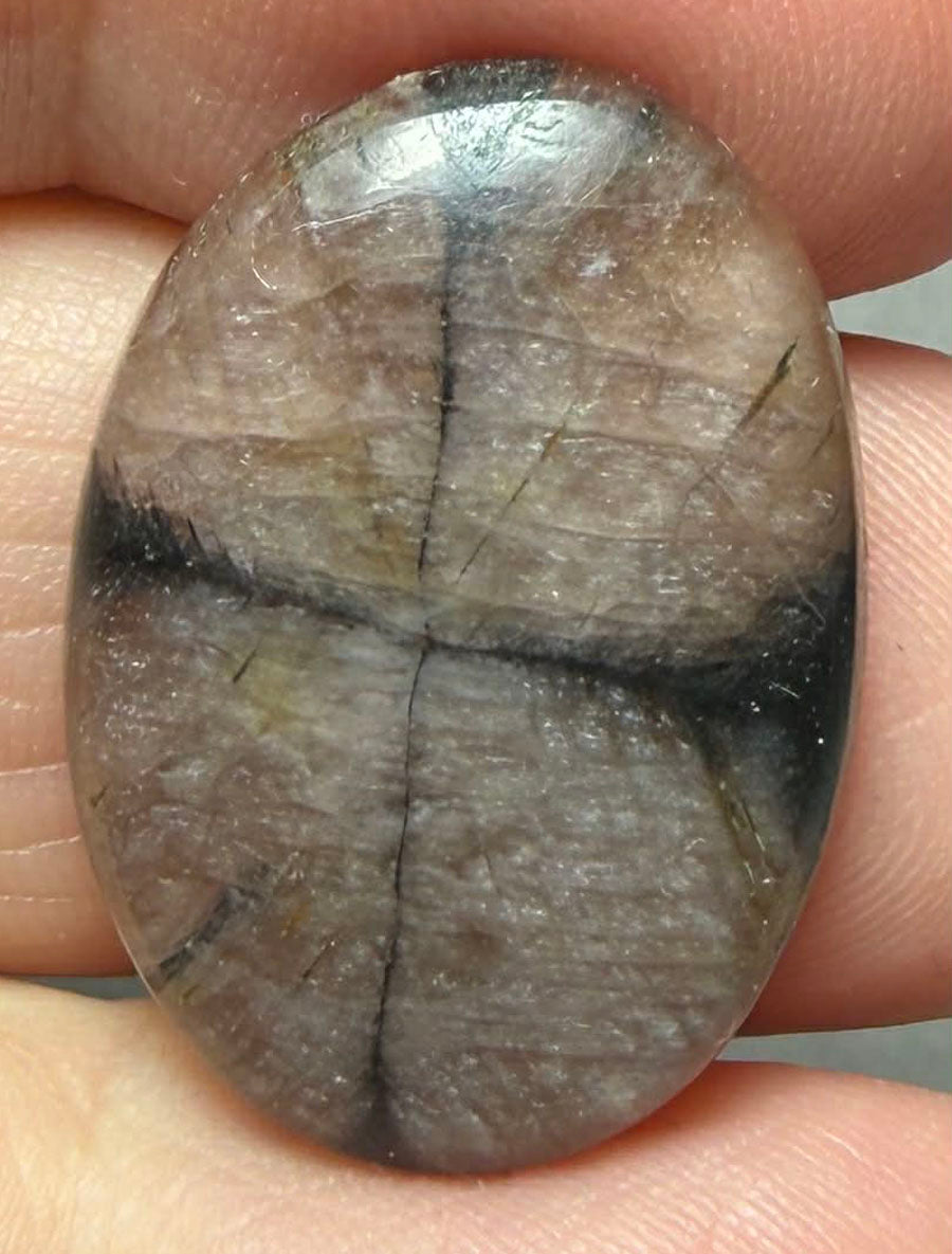Oval 29x20mm Chiastolite Cabochon 41