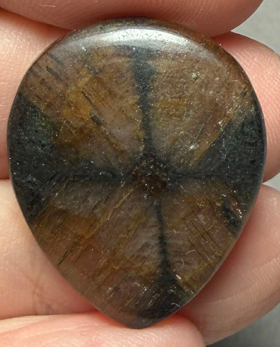 Teardrop 27x22mm Chiastolite Cabochon 44