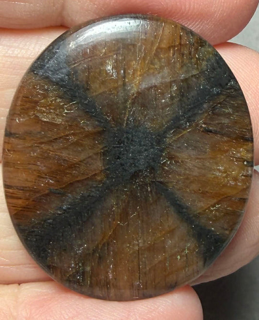 Oval 34x29mm Chiastolite Cabochon 45