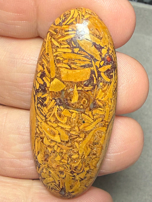 Oval 48x21mm Mariam Jasper Cabochon 19