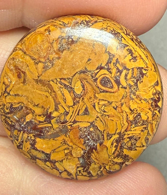 Round 27x27mm Mariam Jasper Cabochon 21