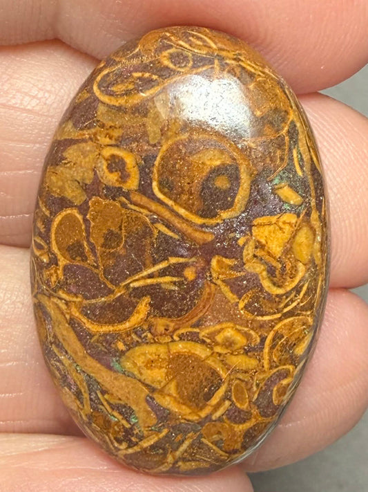 Oval 32x21mm Mariam Jasper Cabochon 23