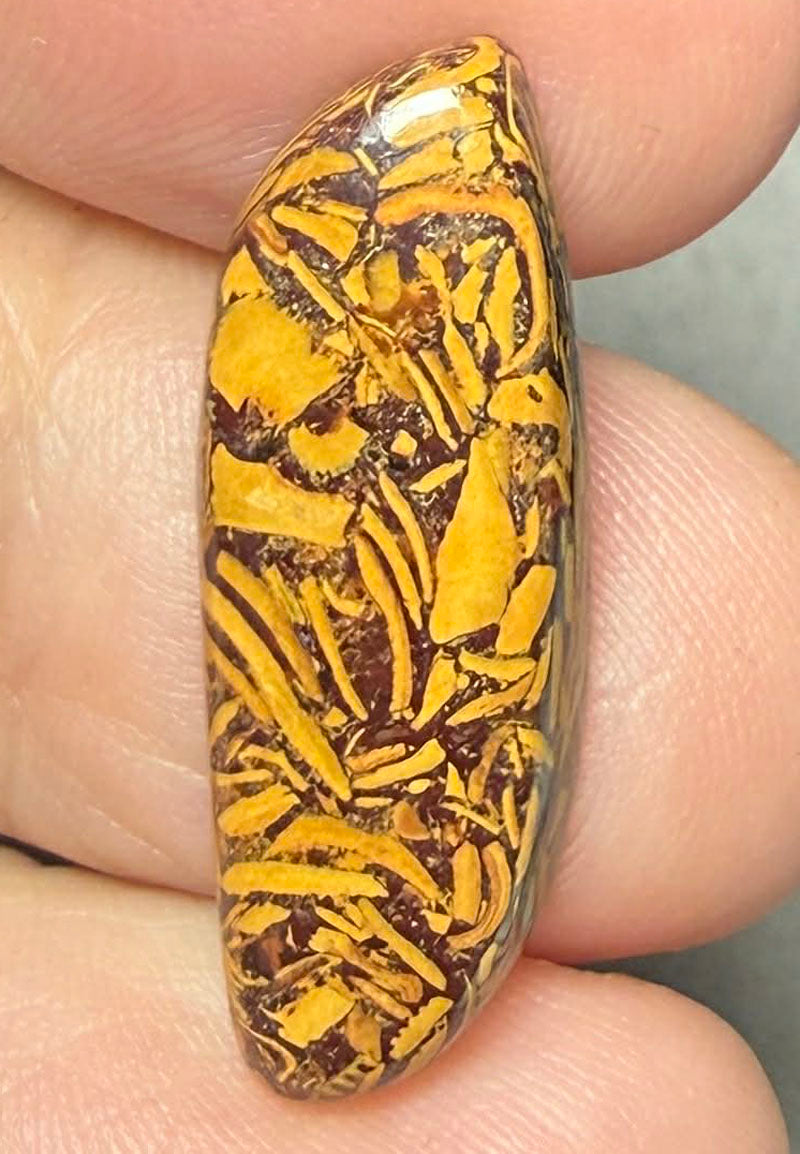 Freeform 28x10mm Mariam Jasper Cabochon 25