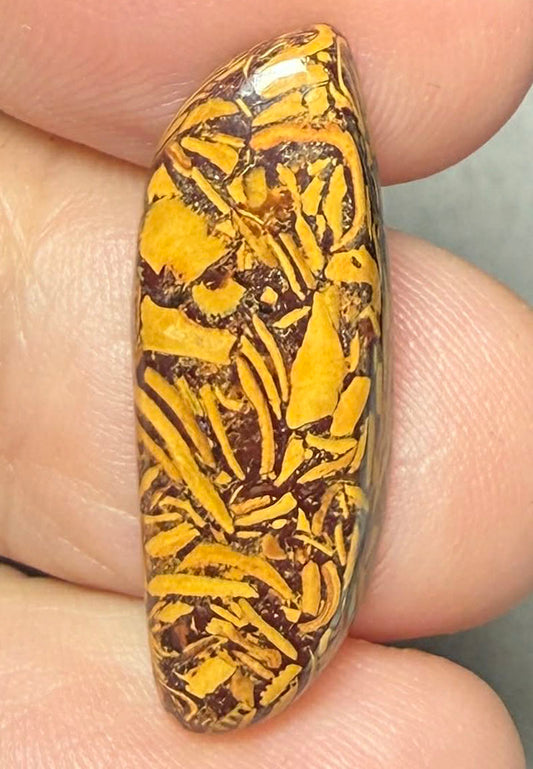 Freeform 28x10mm Mariam Jasper Cabochon 25