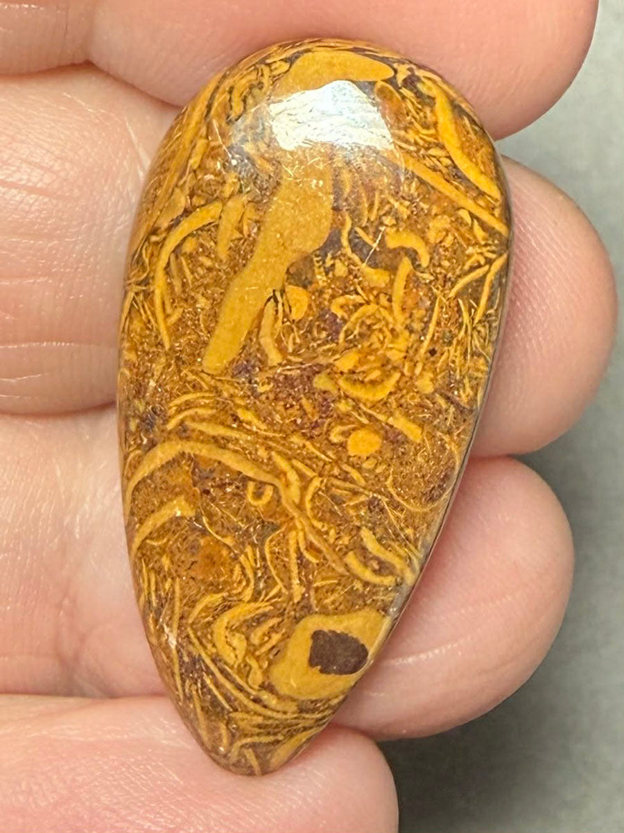 Teardrop 35x18mm Mariam Jasper Cabochon 27