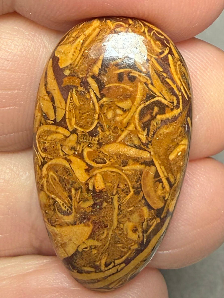 Teardrop 32x17mm Mariam Jasper Cabochon 28