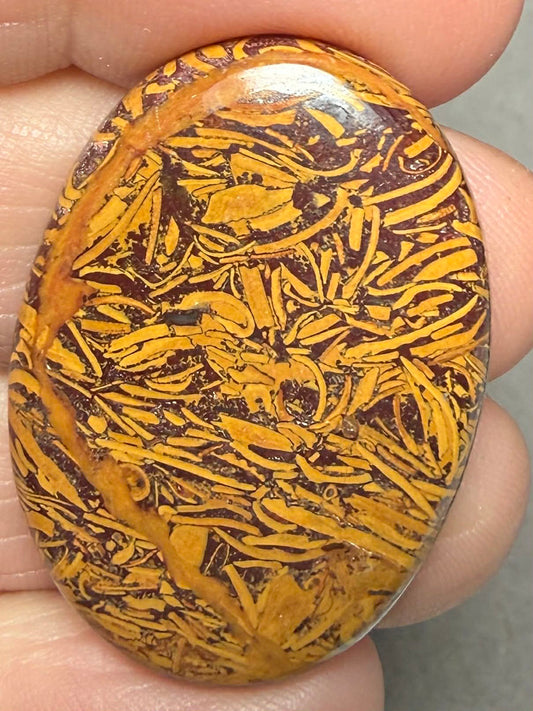 Oval 35x24mm Mariam Jasper Cabochon 42