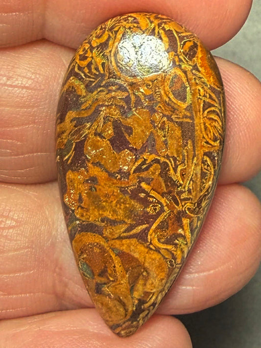 Teardrop 36x18mm Mariam Jasper Cabochon 45