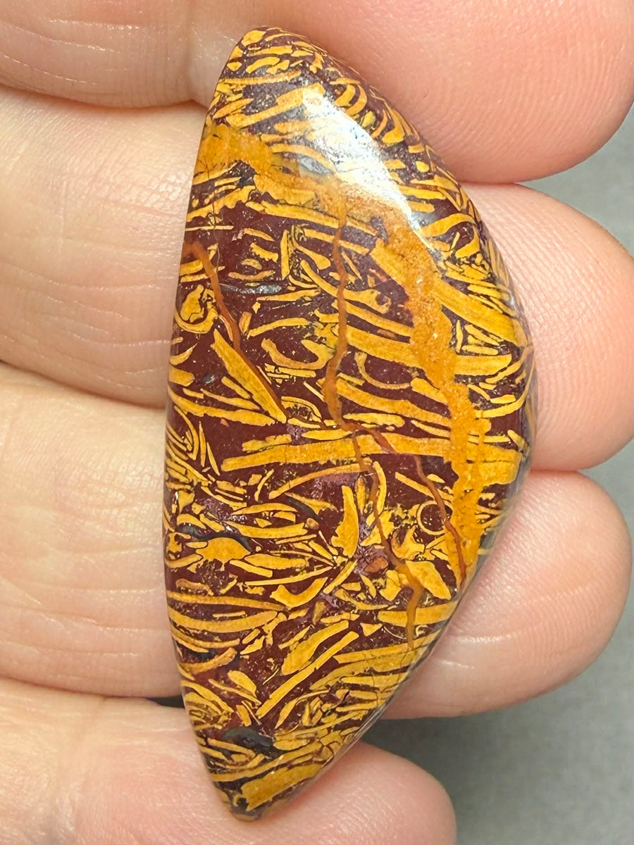 Freeform 43x19mm Mariam Jasper Cabochon 47