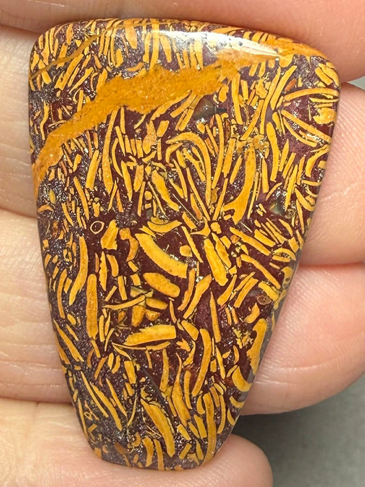 Freeform 39x24mm Mariam Jasper Cabochon 49
