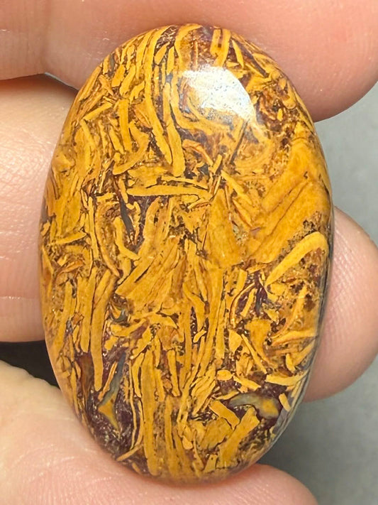 Oval 31x20mm Mariam Jasper Cabochon 52