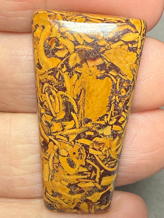 Freeform 40x22mm Mariam Jasper Cabochon 53