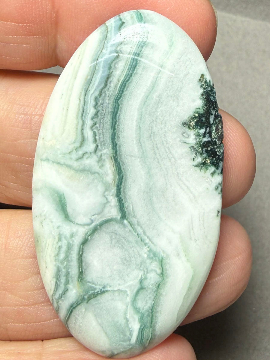 Oval 49x27mm Green Lace Jasper Cabochon 25