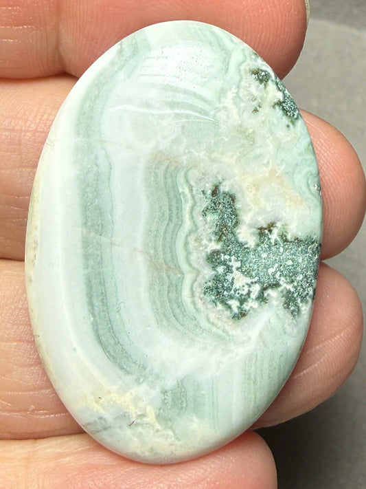Oval 40x27mm Green Lace Jasper Cabochon 26