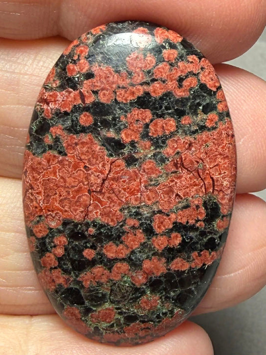 Oval 38x24mm Mexican Flower Obsidian Cabochon 19