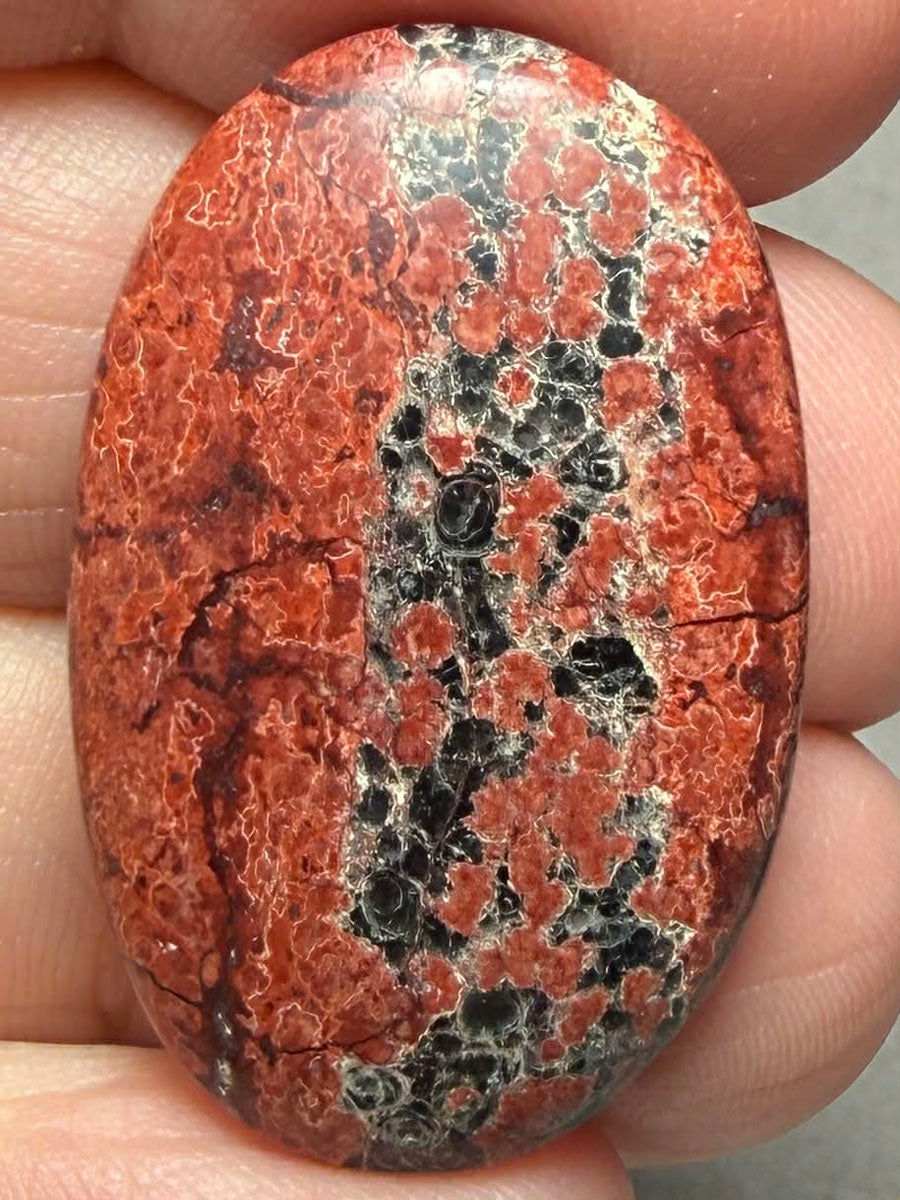 Oval 33x21mm Mexican Flower Obsidian Cabochon 22