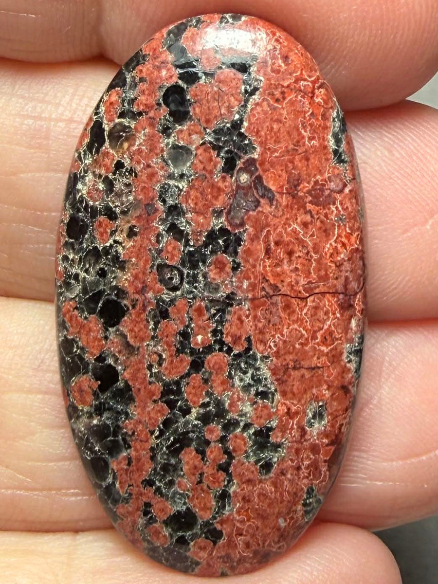 Oval 37x20mm Mexican Flower Obsidian Cabochon 25