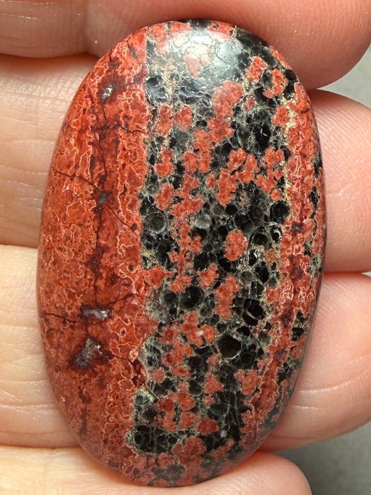 Oval 39x23mm Mexican Flower Obsidian Cabochon 37