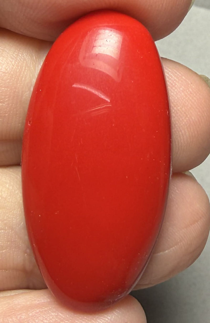Oval 37x18mm Red Coral Cabochon 02