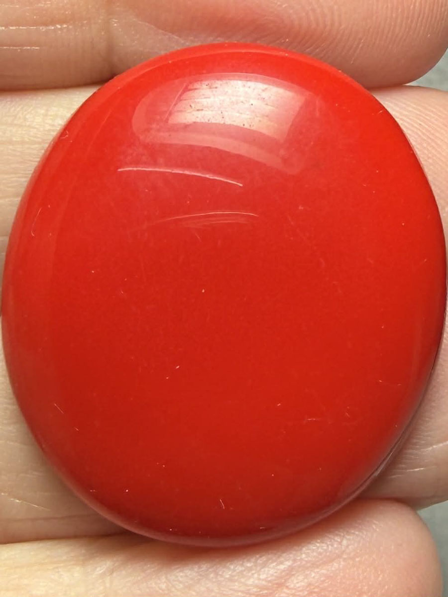 Oval 32x28mm Red Coral Cabochon 03