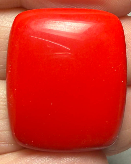 Rectangle 27x22mm Red Coral Cabochon 08