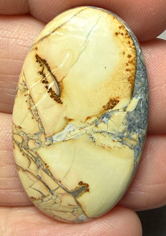 Oval 35x22mm Maligano Jasper Cabochon 47