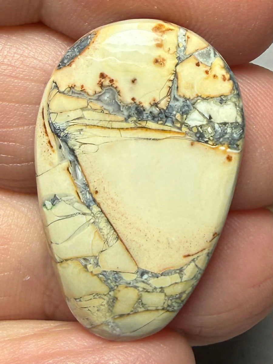 Teardrop 30x19mm Maligano Jasper Cabochon 50