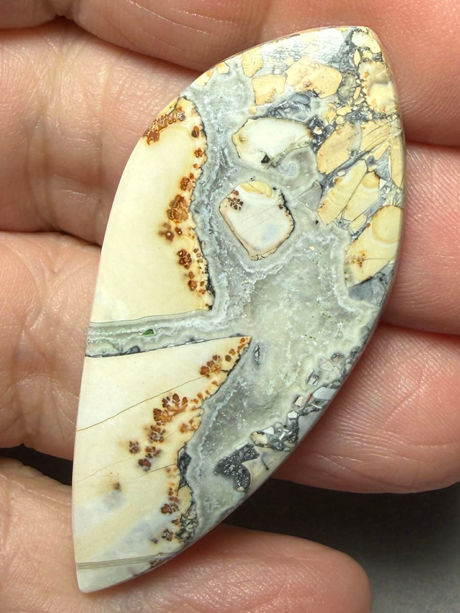 Freeform 54x24mm Maligano Jasper Cabochon 56