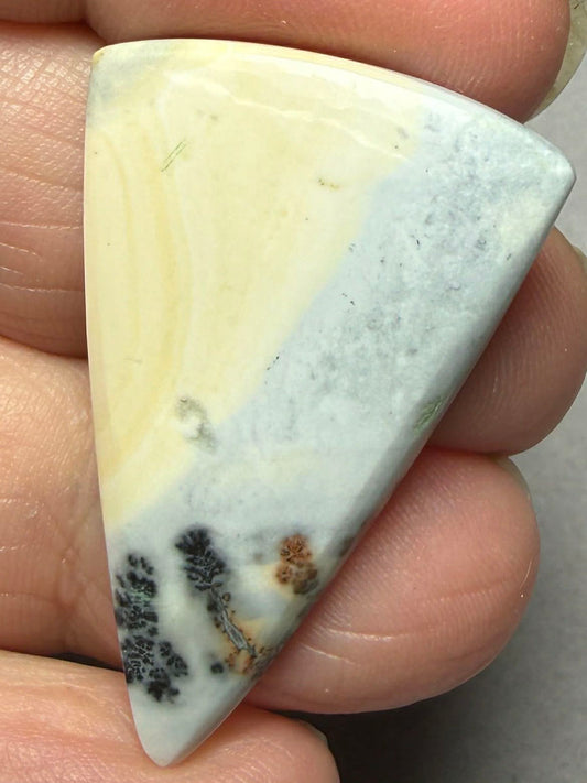 Freeform 37x24mm Maligano Jasper Cabochon 61