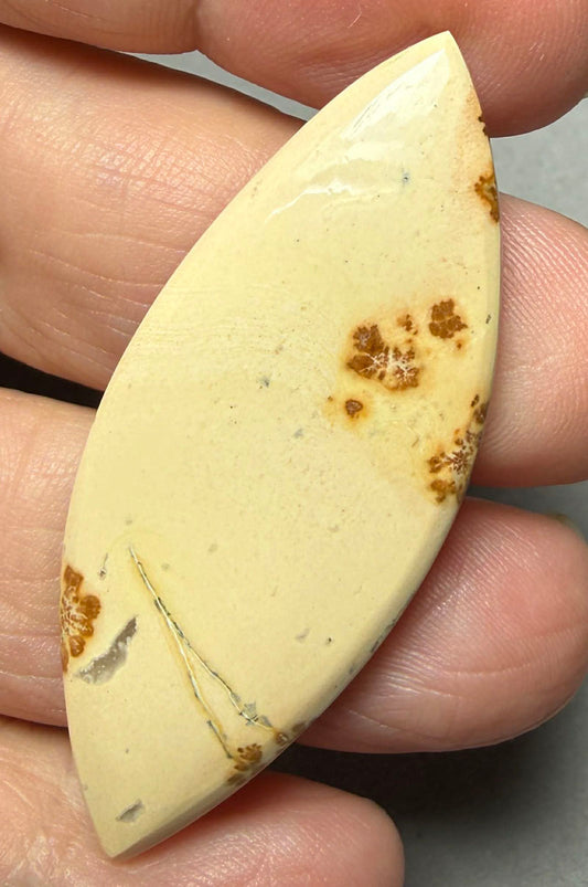 Marquise 51x20mm Maligano Jasper Cabochon 63