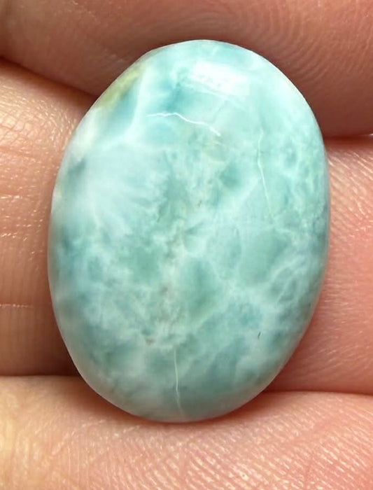 Oval 19x14mm Larimar Cabochon 73