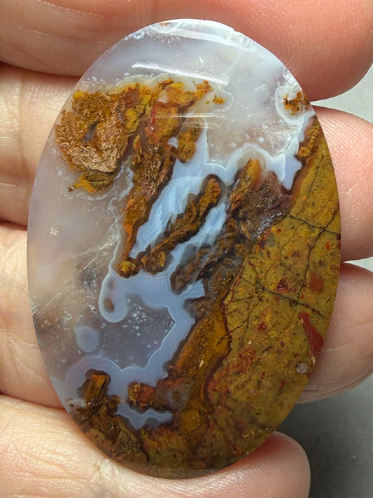 Oval 47x32mm Petrified Wood with Quartz Cabochon 05