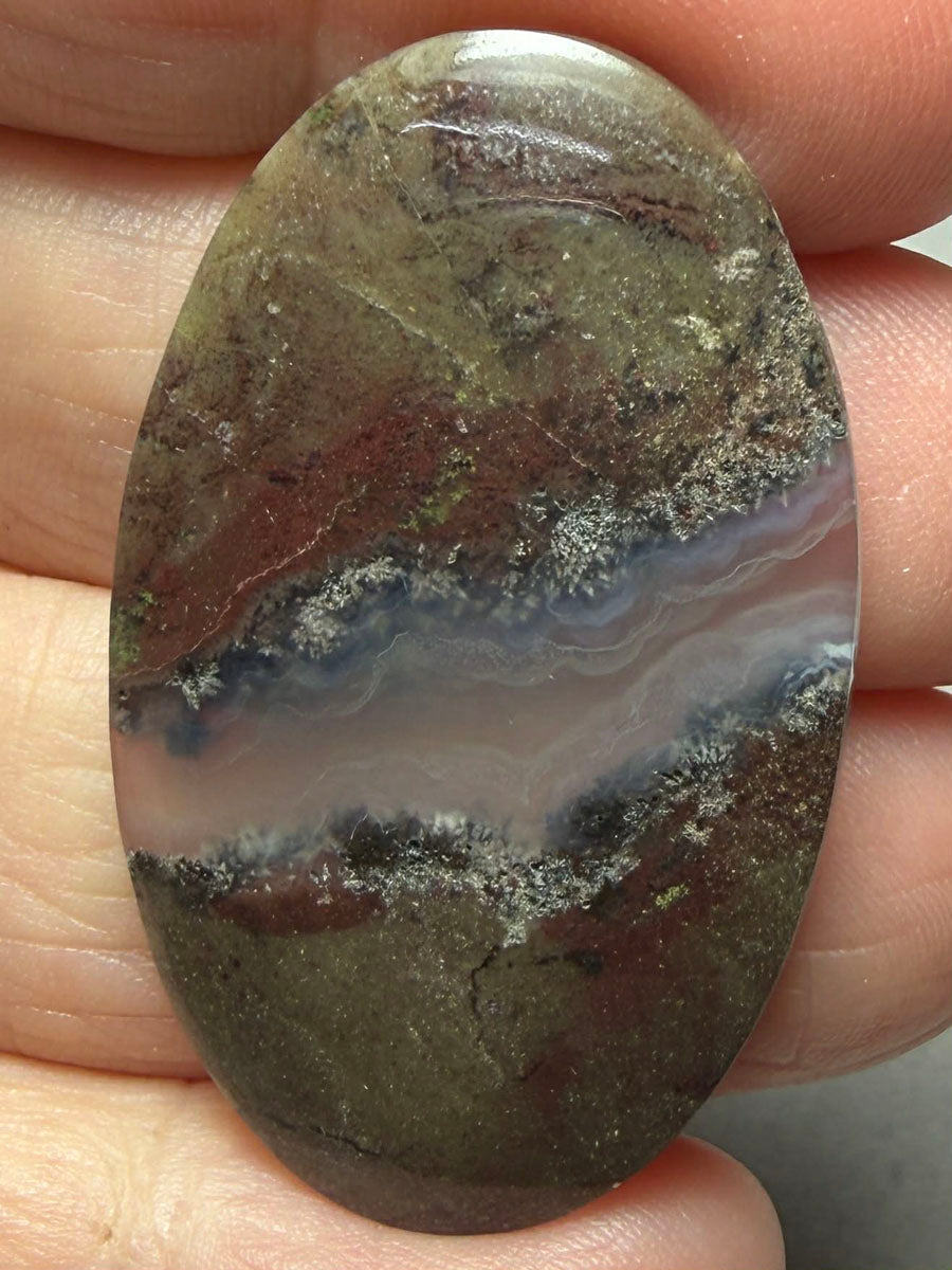 Oval 40x24mm Petrified Wood with Quartz Cabochon 08