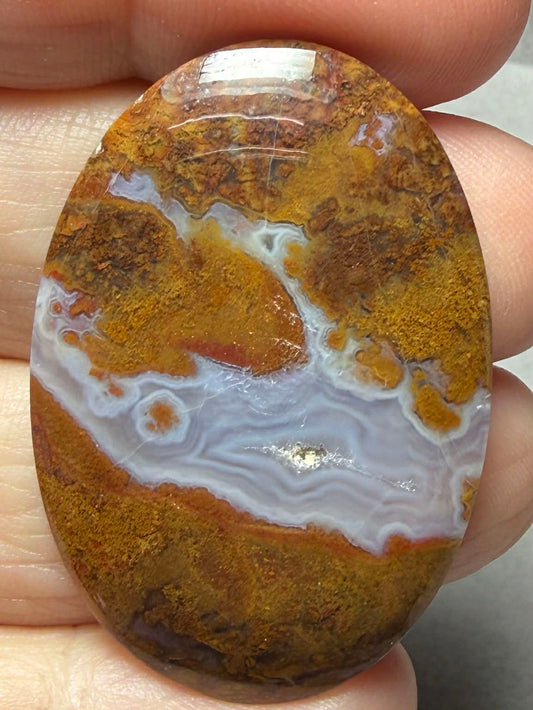 Oval 40x28mm Petrified Wood with Quartz Cabochon 09