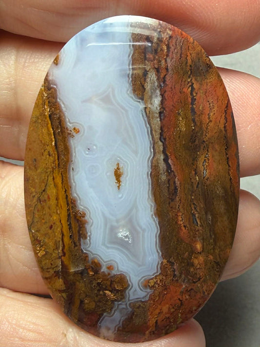 Oval 48x31mm Petrified Wood with Quartz Cabochon 11