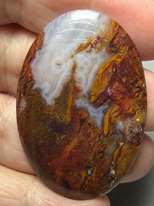 Oval 49x33mm Petrified Wood with Quartz Cabochon 15