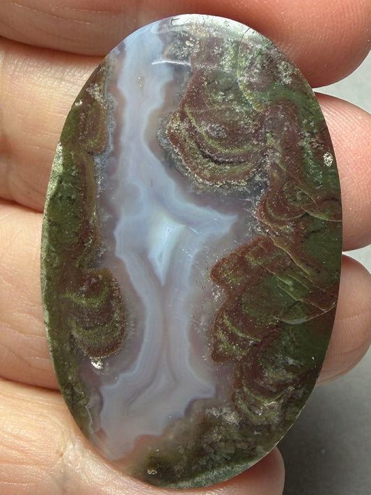 Oval 46x29mm Petrified Wood with Quartz Cabochon 17