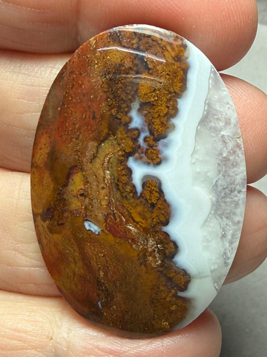 Oval 41x28mm Petrified Wood with Quartz Cabochon 19